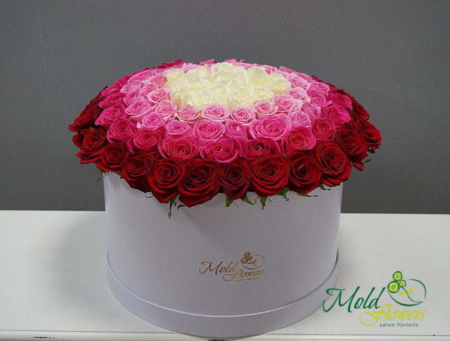 Большая белая коробка с красными, цикламиновыми, бледно-розовыми и белыми розами фото